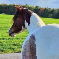 Profile picture Stefanie Dormagen