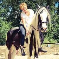 Profile picture Kremer PONYSCHEUNE