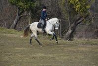 Profile picture Ingrid Masmitja