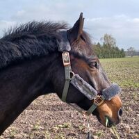 Profile picture Heike