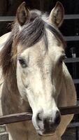 Profile picture Nadine