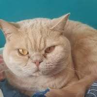 Profile picture Charlotte Jane