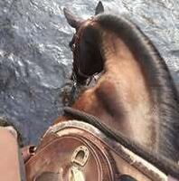 Profile picture Wiebke