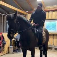 Profile picture Tomas