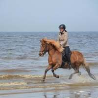 Profile picture Lorene Van den Baard
