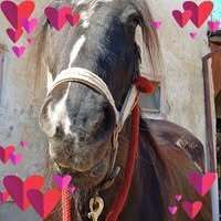 Profile picture Maria Mende
