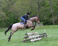 Profile picture Suzy