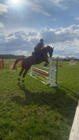 Profile picture Thyra Garn