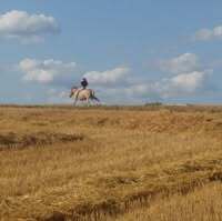 Profile picture Tanja