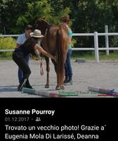 Profile picture Susanne Pourroy